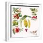 Fruits-English School-Framed Giclee Print