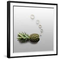 Fruity Fish-Fisher Photostudio-Framed Photographic Print