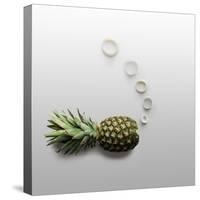 Fruity Fish-Fisher Photostudio-Stretched Canvas