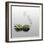 Fruity Fish-Fisher Photostudio-Framed Photographic Print