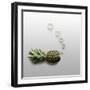 Fruity Fish-Fisher Photostudio-Framed Photographic Print