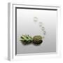 Fruity Fish-Fisher Photostudio-Framed Photographic Print