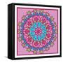 Fruity Mandala 1-Marcus Prime-Framed Stretched Canvas