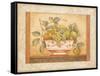 Frutta Alla Siena II-Pamela Gladding-Framed Stretched Canvas