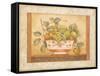 Frutta Alla Siena II-Pamela Gladding-Framed Stretched Canvas