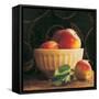 Frutta del Pranzo I-Amy Melious-Framed Stretched Canvas