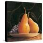 Frutta del Pranzo IV-Amy Melious-Stretched Canvas
