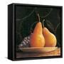 Frutta del Pranzo IV-Amy Melious-Framed Stretched Canvas