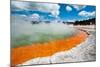 Frying Pan Lake Rotorua-null-Mounted Art Print