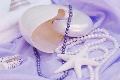 Shells Purple Pearls