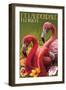 Ft. Lauderdale, Florida - Flamingo Scene-Lantern Press-Framed Art Print