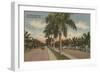 Ft. Lauderdale, Florida - View of Las Olas Blvd.-Lantern Press-Framed Art Print