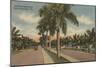 Ft. Lauderdale, Florida - View of Las Olas Blvd.-Lantern Press-Mounted Art Print