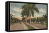 Ft. Lauderdale, Florida - View of Las Olas Blvd.-Lantern Press-Framed Stretched Canvas