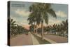 Ft. Lauderdale, Florida - View of Las Olas Blvd.-Lantern Press-Stretched Canvas