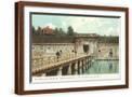 Brown Frame