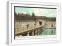 White Frame