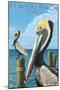 Ft. Myers Beach, Florida - Pelicans-Lantern Press-Mounted Art Print