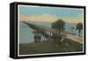 Ft. Myers, Florida - View of Tamiami Trail Bridge-Lantern Press-Framed Stretched Canvas