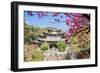 Fu Guo Temple, Five Phoenix Building (Formerly Buddhist Cloud Building) in Spring, Lijiang-Andreas Brandl-Framed Photographic Print