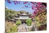 Fu Guo Temple, Five Phoenix Building (Formerly Buddhist Cloud Building) in Spring, Lijiang-Andreas Brandl-Mounted Photographic Print