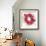 Fuchia Splash Flower-Elle Stewart-Framed Art Print displayed on a wall