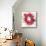 Fuchia Splash Flower-Elle Stewart-Mounted Art Print displayed on a wall