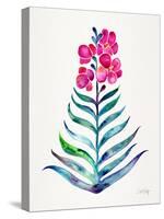 Fuchsia and Indigo Orchid Bloom-Cat Coquillette-Stretched Canvas