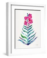 Fuchsia and Indigo Orchid Bloom-Cat Coquillette-Framed Giclee Print