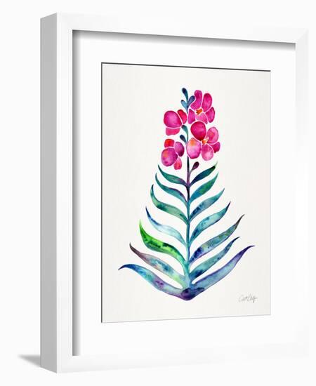 Fuchsia and Indigo Orchid Bloom-Cat Coquillette-Framed Giclee Print