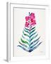 Fuchsia and Indigo Orchid Bloom-Cat Coquillette-Framed Giclee Print