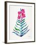 Fuchsia and Indigo Orchid Bloom-Cat Coquillette-Framed Giclee Print