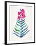 Fuchsia and Indigo Orchid Bloom-Cat Coquillette-Framed Giclee Print