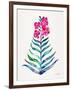 Fuchsia and Indigo Orchid Bloom-Cat Coquillette-Framed Giclee Print