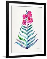 Fuchsia and Indigo Orchid Bloom-Cat Coquillette-Framed Giclee Print