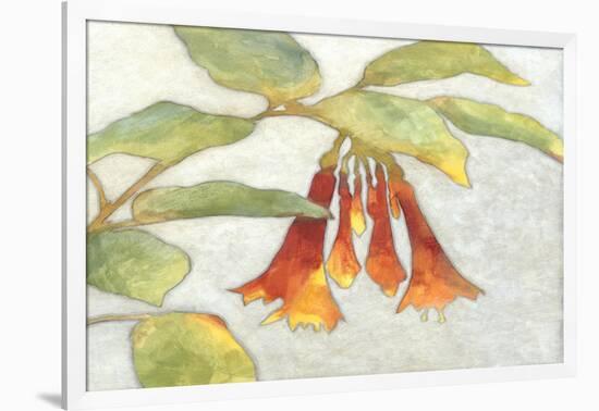 Fuchsia Blooms I-Megan Meagher-Framed Art Print