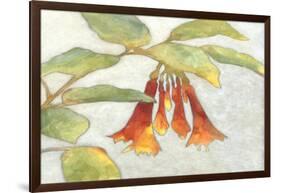 Fuchsia Blooms I-Megan Meagher-Framed Art Print
