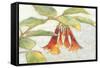 Fuchsia Blooms I-Megan Meagher-Framed Stretched Canvas