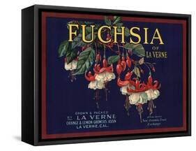 Fuchsia Brand - La Verne, California - Citrus Crate Label-Lantern Press-Framed Stretched Canvas
