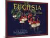 Fuchsia Brand - La Verne, California - Citrus Crate Label-Lantern Press-Mounted Art Print