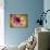 Fuchsia Daisy IV-Honey Malek-Photographic Print displayed on a wall