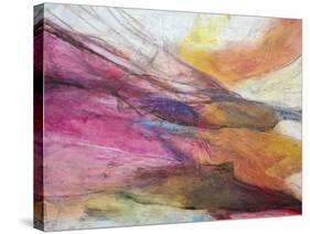 Fuchsia Expression II-Gabriela Villarreal-Stretched Canvas