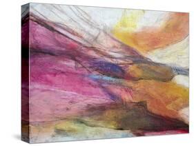 Fuchsia Expression II-Gabriela Villarreal-Stretched Canvas