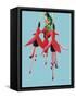 Fuchsia Flowers Blooming-null-Framed Stretched Canvas