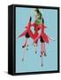 Fuchsia Flowers Blooming-null-Framed Stretched Canvas