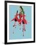 Fuchsia Flowers Blooming-null-Framed Photographic Print