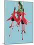 Fuchsia Flowers Blooming-null-Mounted Photographic Print