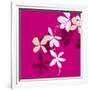 Fuchsia Kerala-Le'onor Mataillet-Framed Art Print