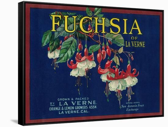 Fuchsia Lemon Label - La Verne, CA-Lantern Press-Framed Stretched Canvas