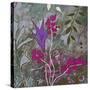 Fuchsia Nights-Ruth Palmer-Stretched Canvas